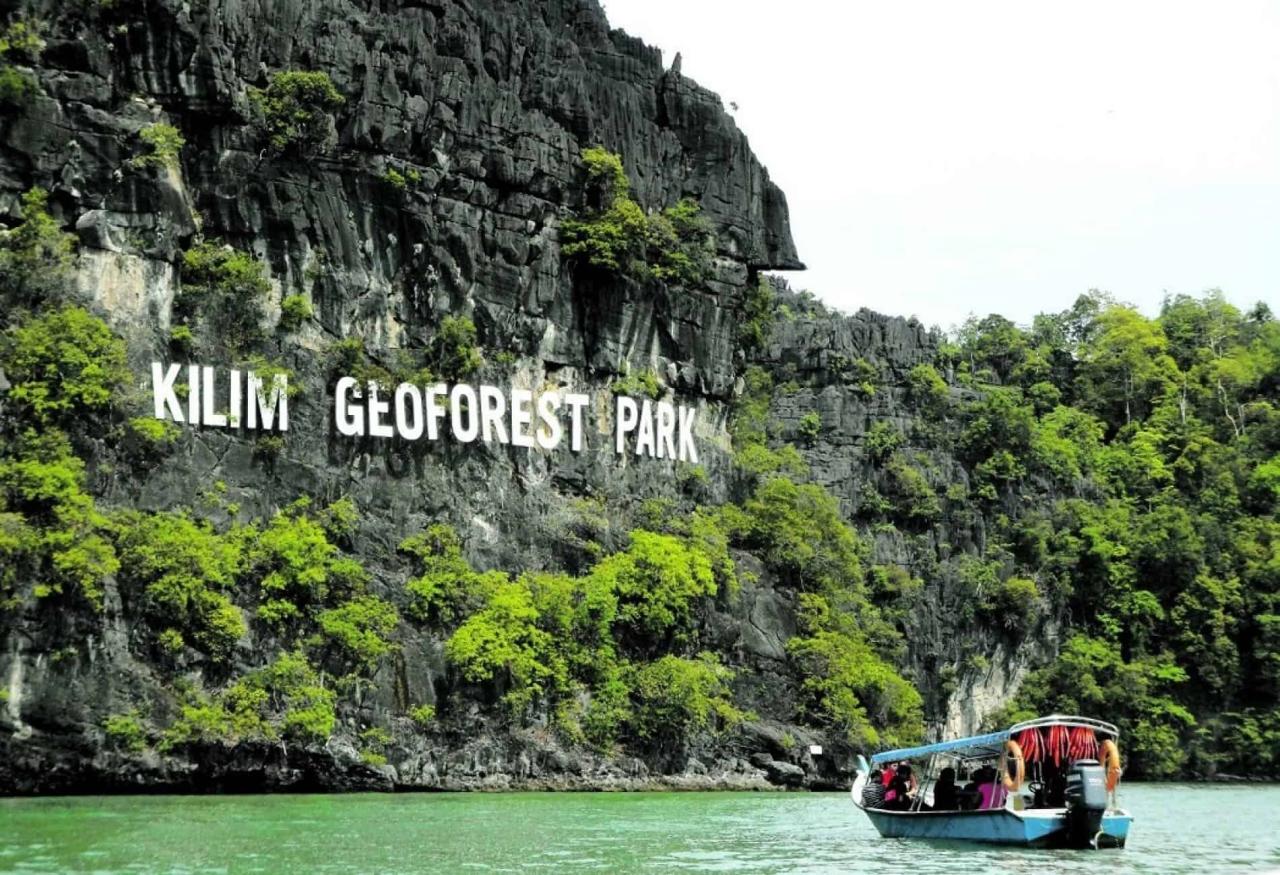 Jelajahi Ekosistem Mangrove yang Memukau di Langkawi